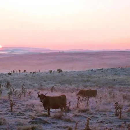 Peaceful Mountain Retreat Dom wakacyjny
