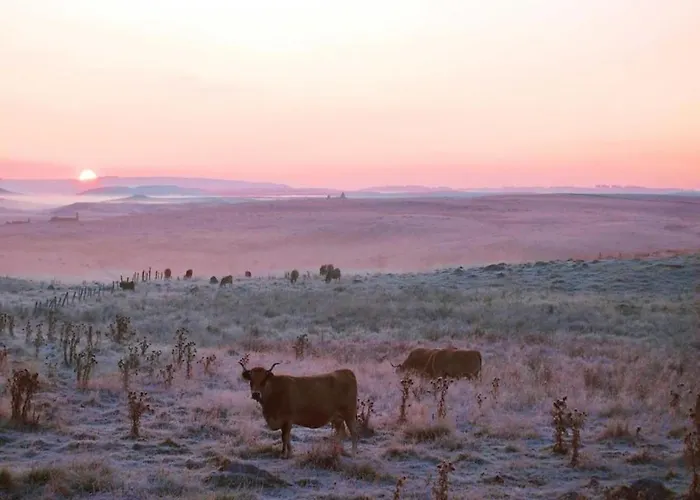 Peaceful Mountain Retreat Сasa de vacaciones